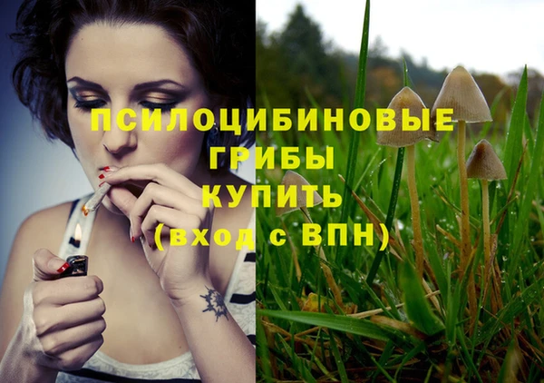 герыч Алексин