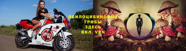 а пвп мука Алзамай