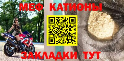 прущие грибы Кингисепп