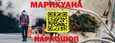 прущие грибы Кингисепп