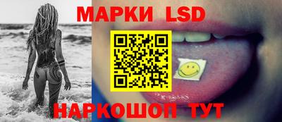 прущие грибы Кингисепп