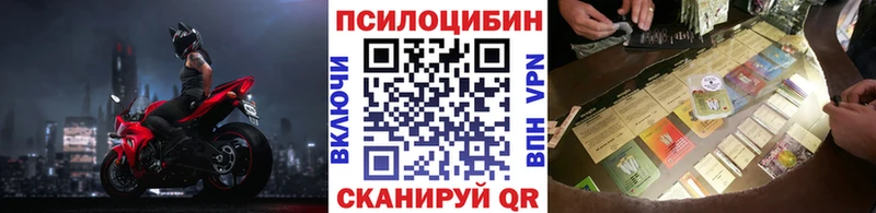 Галлюциногенные грибы Psilocybe  Красногорск 