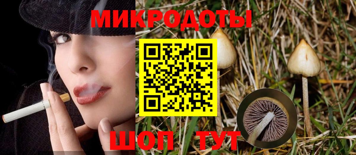 Красногорск  Псилоцибиновые грибы Magic Shrooms  Вход с VPN  Псилоцибиновые грибы ЛСД 